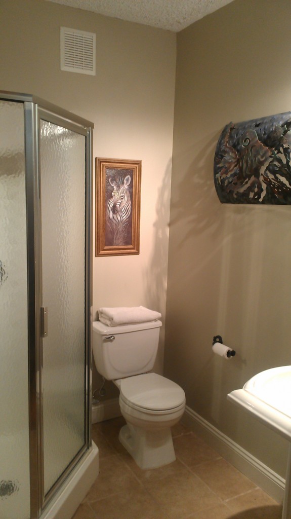 Entertainment Room Full Bathroom
